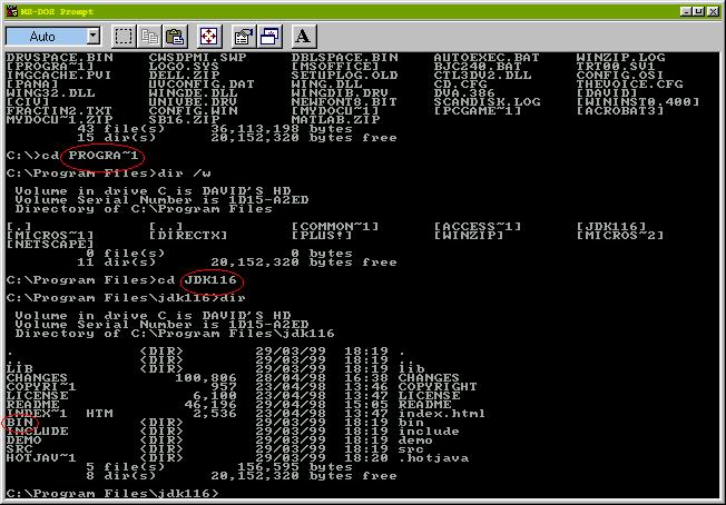 MS-DOS Screenshot 2
